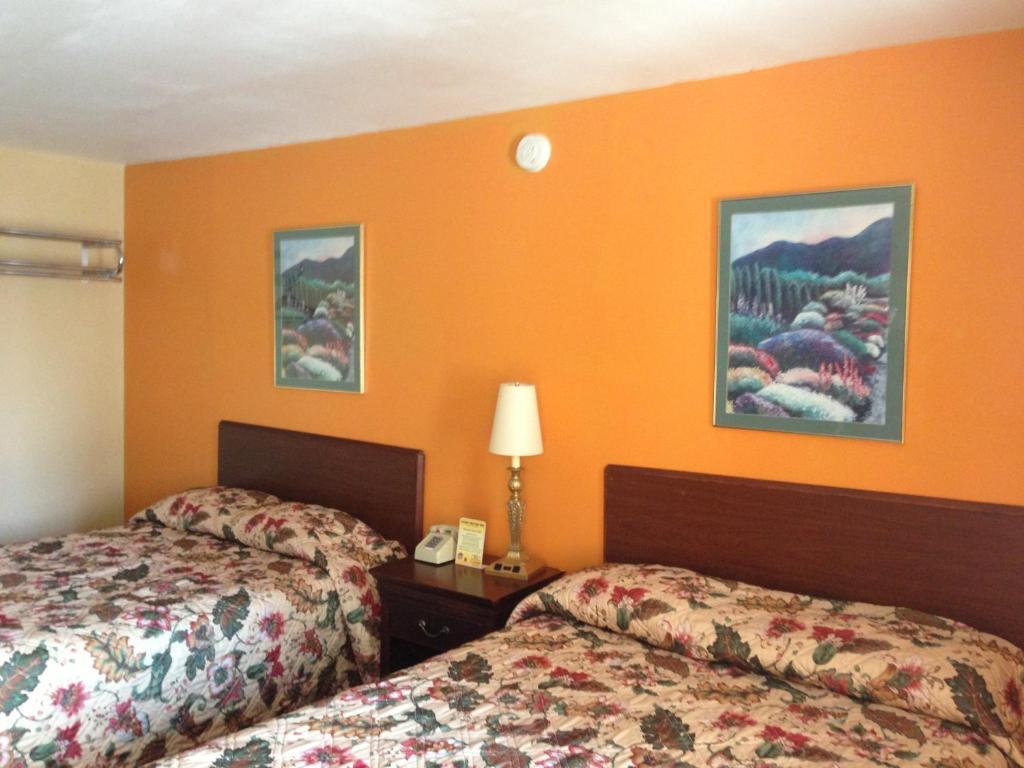 Cadet Motor Inn - Coldwater Camera foto